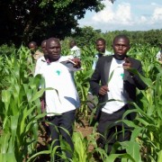 Innovators and ResilientAfrica Network staff meet with farmers to evaluate crop condition and search for weeds and pests.