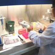 A scientist tests cases at the DNA facility in Sri Lanka.