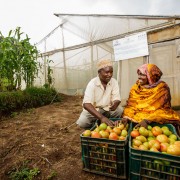 Tanzania Greenhouses Increase Yields