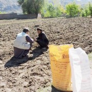 More than 18,000 temporarily displaced farmers returning to the Federally Administered Tribal Areas recently received agricultur