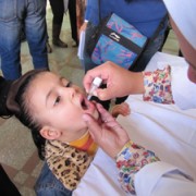 A child receives her polio vaccination in Cairo today. 