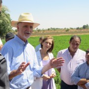 U.S. Ambassador R. Stephen Beecroft speaks with farmers and exporters at a peppermint field in Wadi Nukra, Aswan.  USAID provides training, market information, and connections with exporters to help farmers increase incomes through integrating into high-value commercial horticulture markets.  