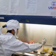 USAID and FAO support laboratory staff as they detect viruses in Vietnam. 