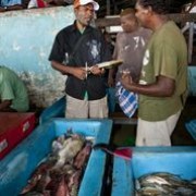 Patrick Ketete, surveyor for the Ministry of  Fisheries, interviews a vendor as part of the Hapi Fis, Hapi Piol project