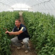 Horticulture Incubator Program Creates Jobs For Youth 