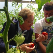 Giorgi Shavadze Shows Mission Director Ball His Greenhouses along the ABL