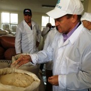 Senator Coons checks out the teff (world's smallest grain) used at Mama Fresh to make injera.