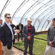 Visit to a seedlings farm in Southern Kyrgyzstan, a beneficiary of USAID Agro Horison Project