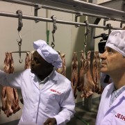 Administrator Mark Green visits a Feed the Future-supported abattoir in Ethiopia/Somali region, which has leveraged $15 millon in private investment