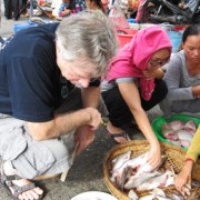 PEER researchers in Vietnam examine a fish catch at a local market.
