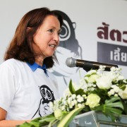 Remarks by Beth Paige, Director of the USAID Regional Development Mission to Asia at Ceremony Introducing Thailand’s 2015 iTHINK