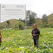 USAID Avansa Agrikultura Project