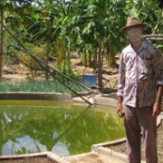 Seu Correa proudly displays his mandala farming system.