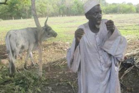 A herder celebrates the return of a stolen cow. 