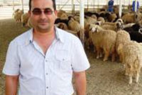 USAID helped Ahmad Alsaabari establish a demonstration feedlot to raise sheep and teach farmers new feeding, monitoring and mark