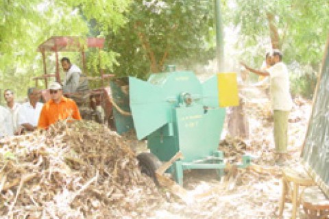 Farmers in El-Sheikh Eissa, in Egypt’s eastern El-Sharkia province, operate machines that chop up banana tree waste.