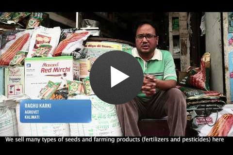 USAID NEAT: Hybrid Seed Production in Nepal