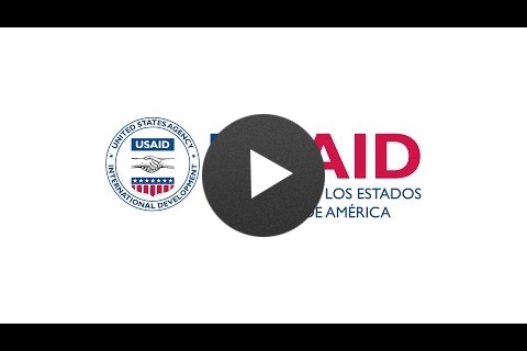 Oportunidades para colaborar con USAID en México.