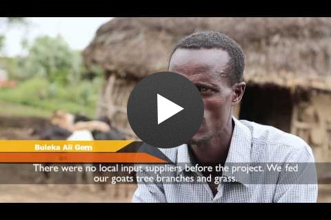 Bridging the Agricultural Supply Gap in Rural Ethiopia