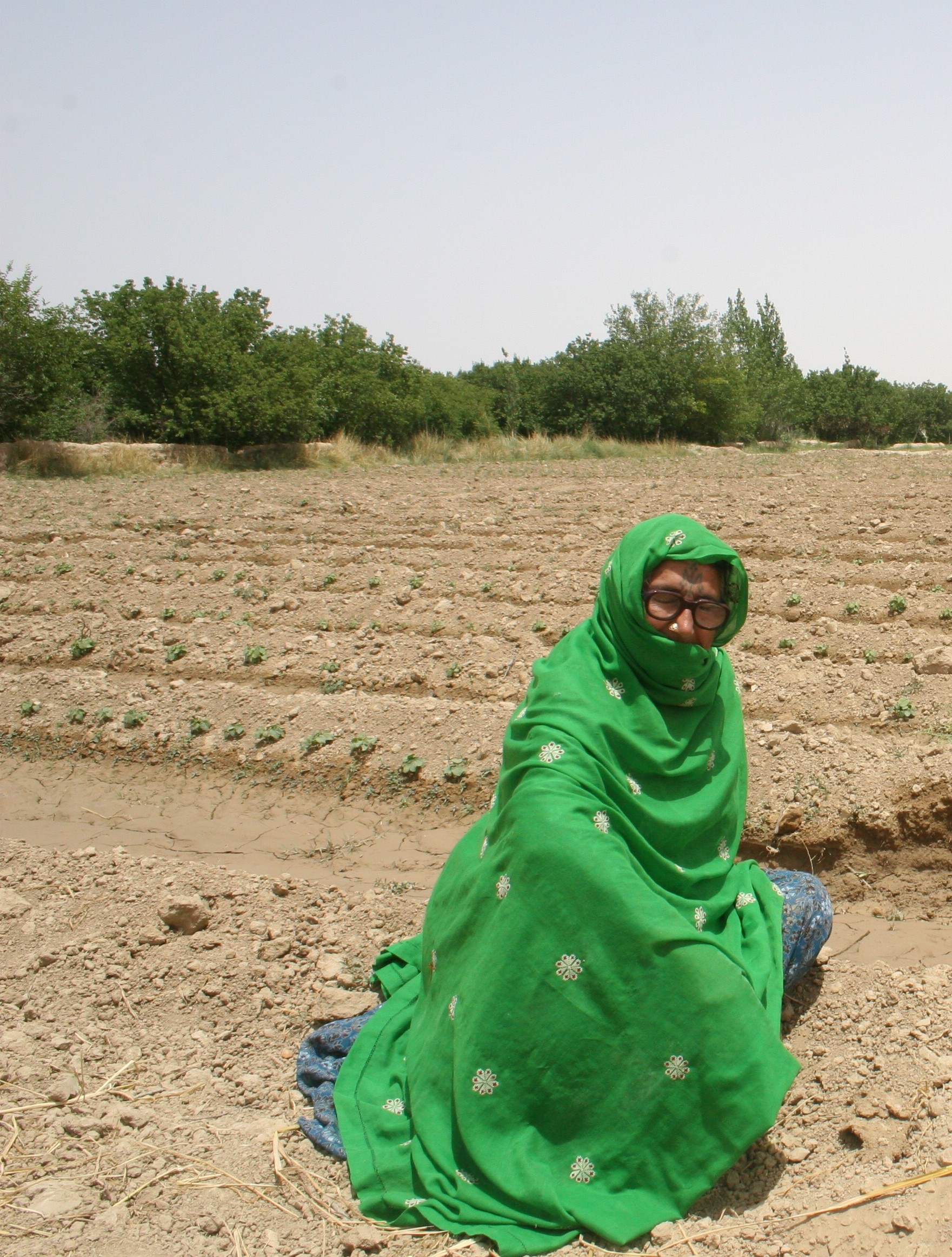 A Kitchen Garden For The First Time Archive U S Agency For   Fp Pk Garden H 