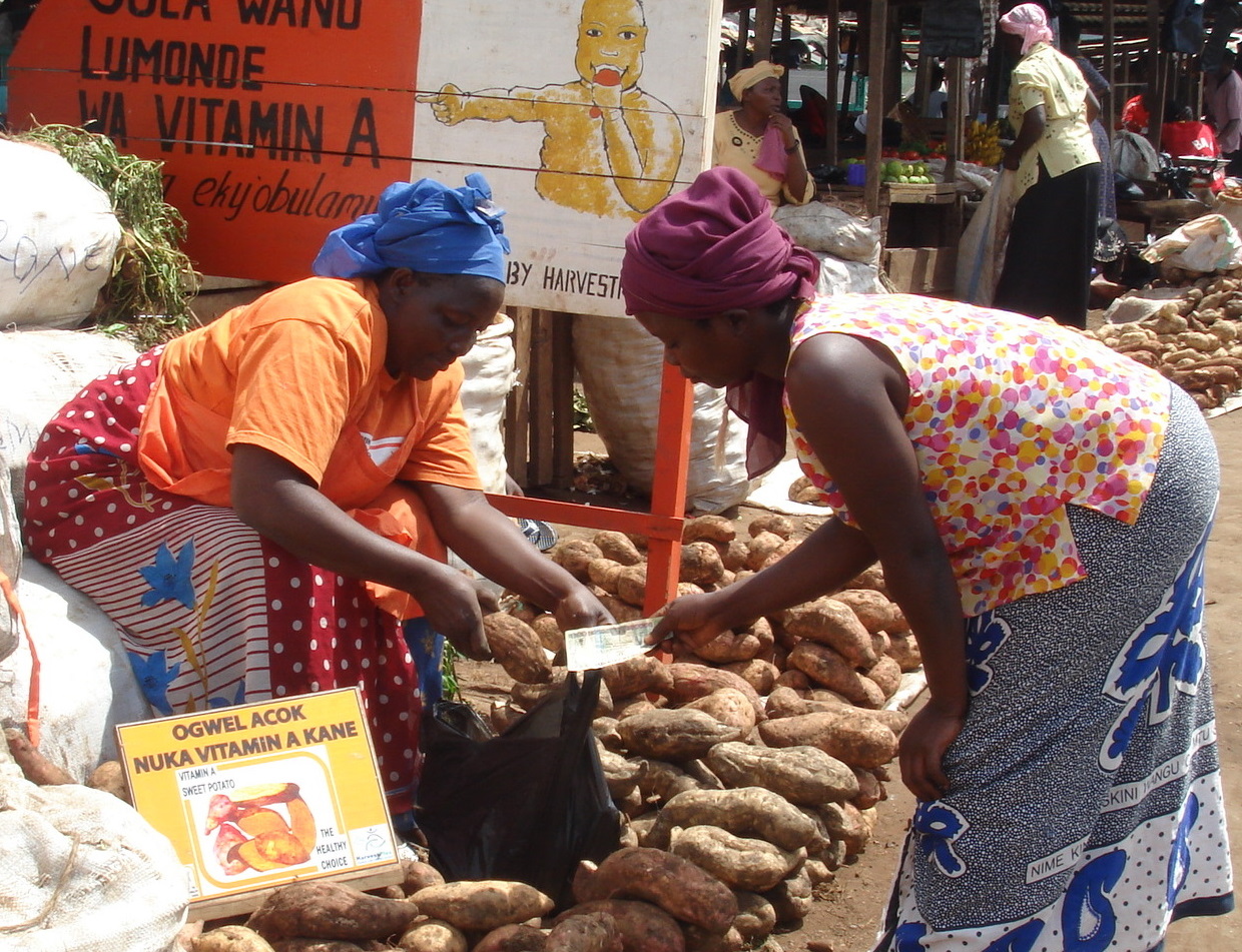 The European market potential for yams