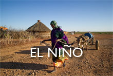 El Niño. Photo:Kelly Lynch